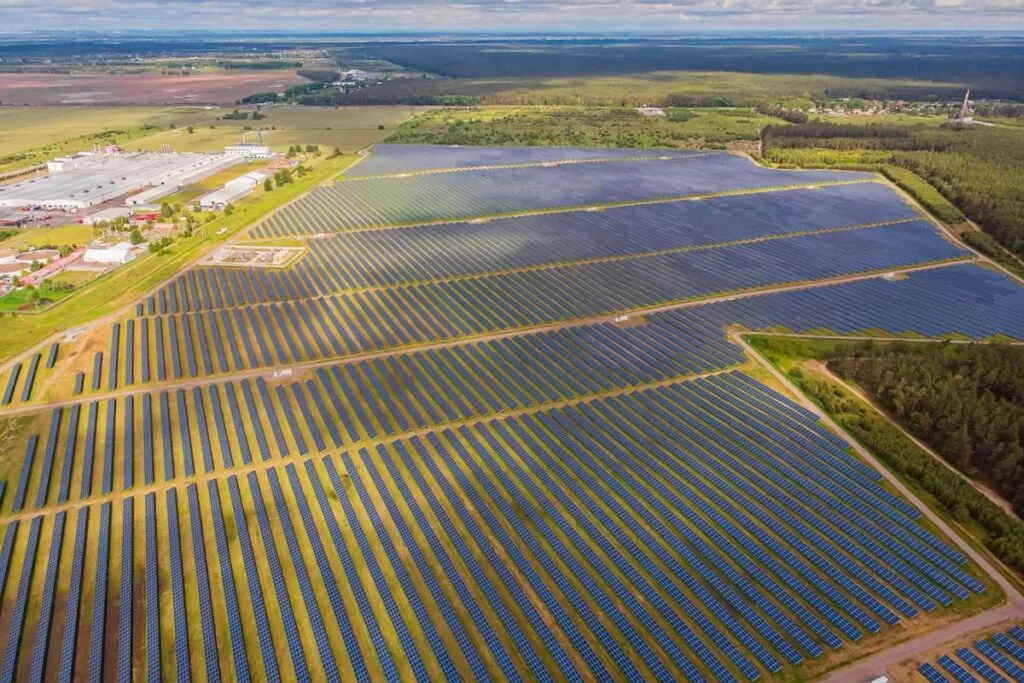 Panourile solare ca afacere – ce tipuri de businessuri poti deschide